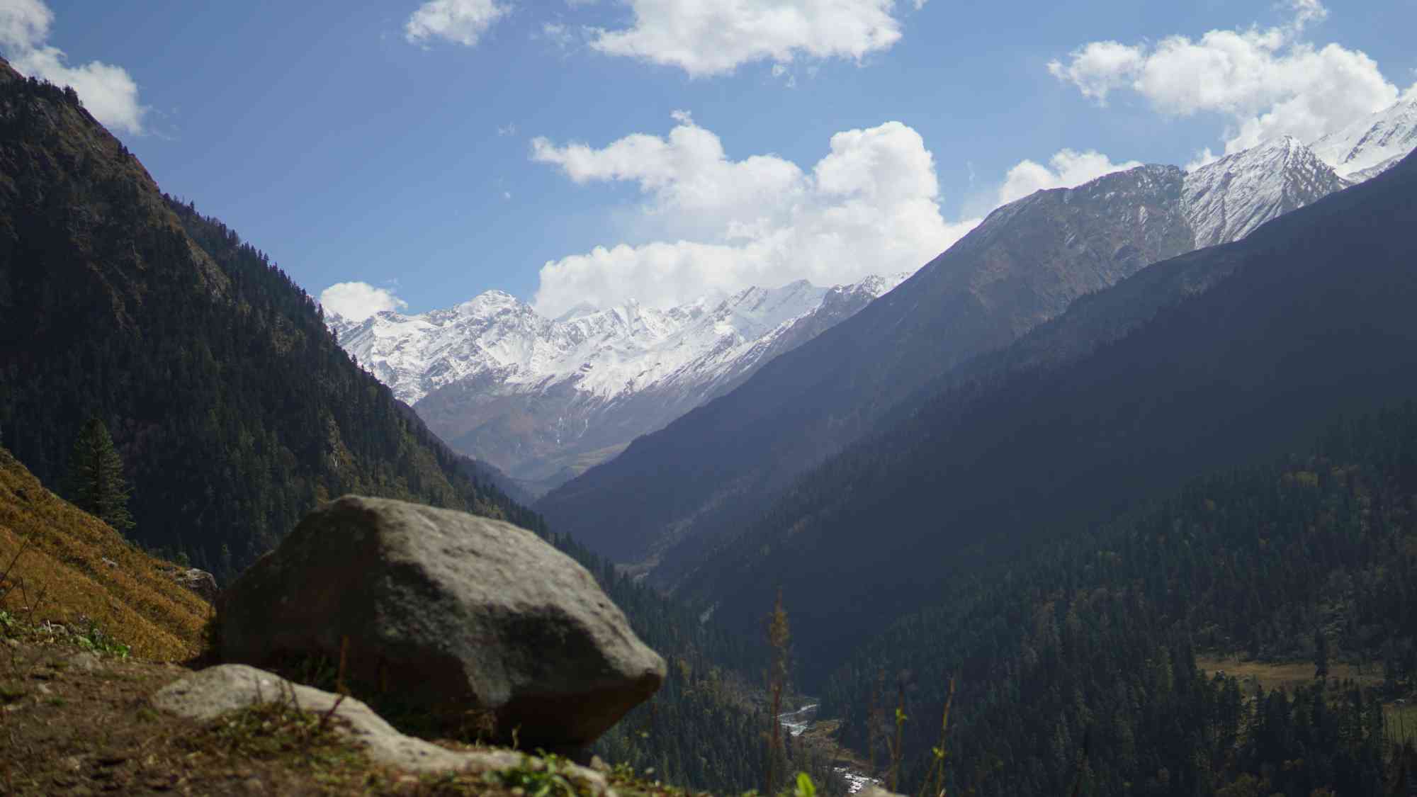 Demo Image