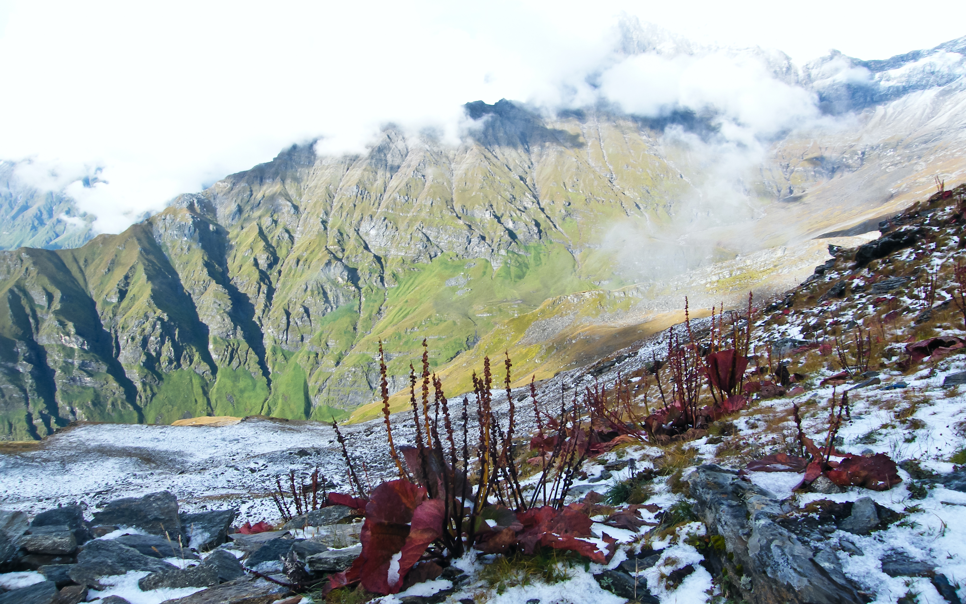 Demo Image