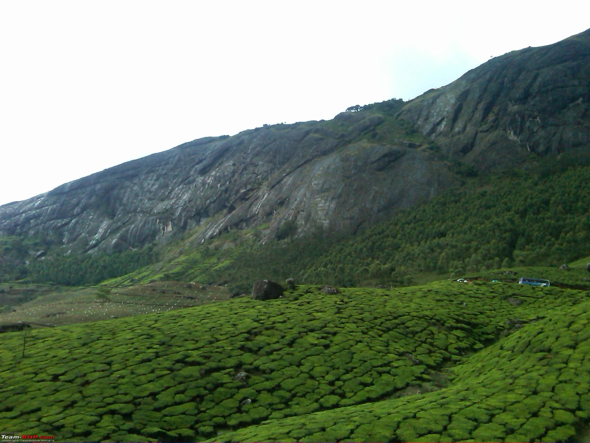 Demo Image